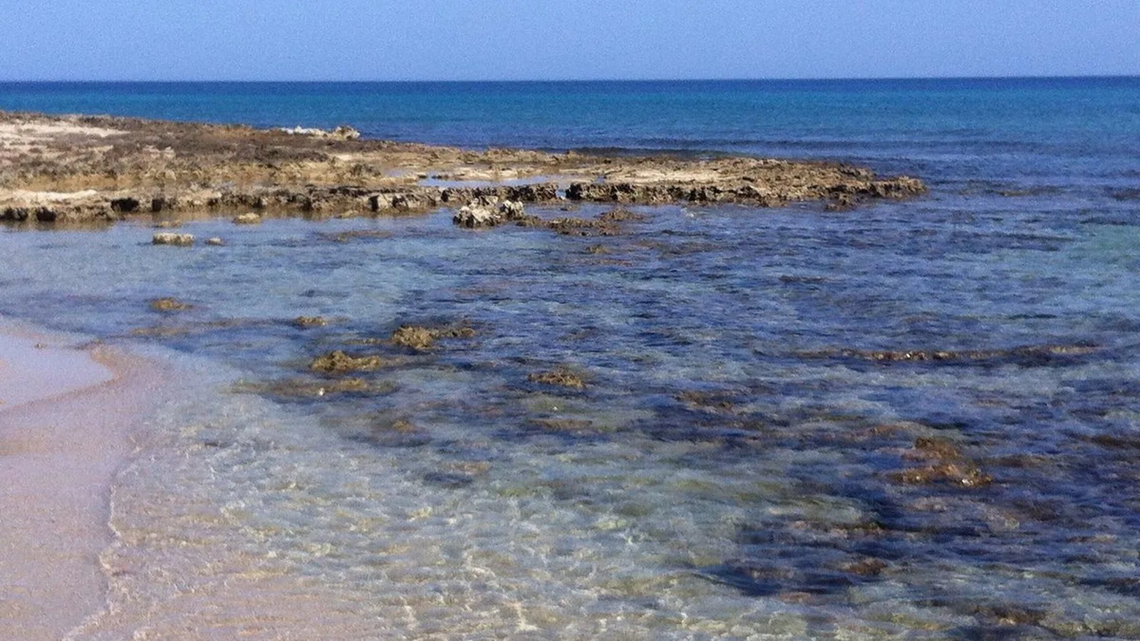 La riva bassa e rocciosa della spiaggia di Rosa Marina, con l'acqua trasparente